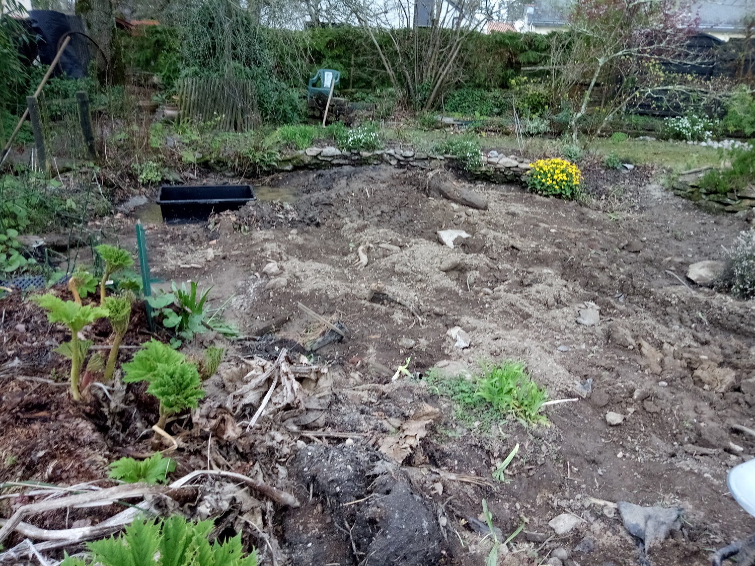 restructuration jardin1