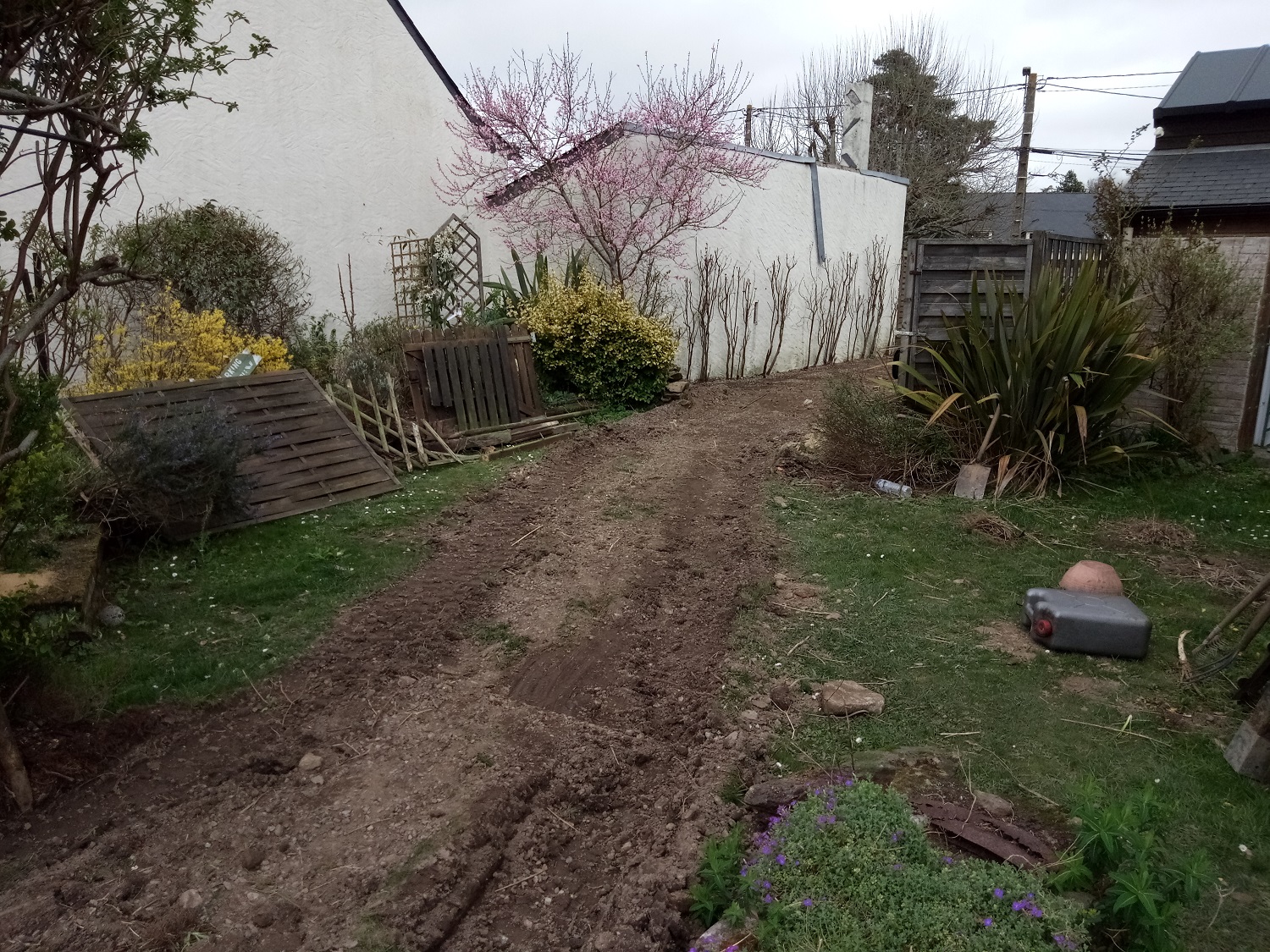 restructuration jardin3